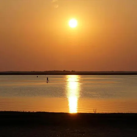 C11535-hemmet-horsfold-89