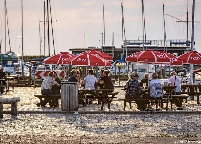 C11535-hemmet-horsfold-89